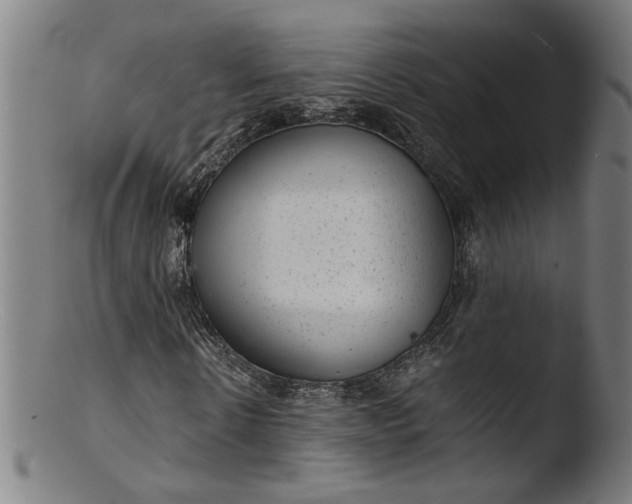 X0000103410914200809261640