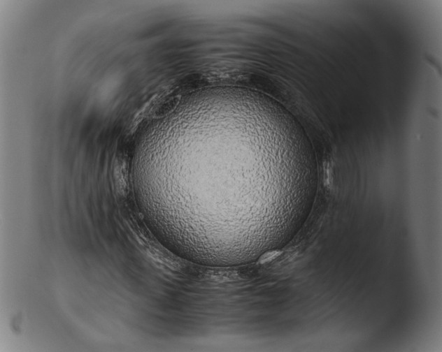 X0000103410915200809261640