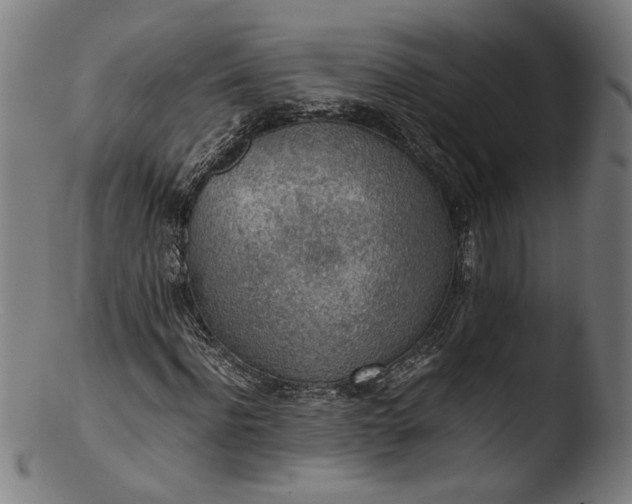 X0000103410916200809261640