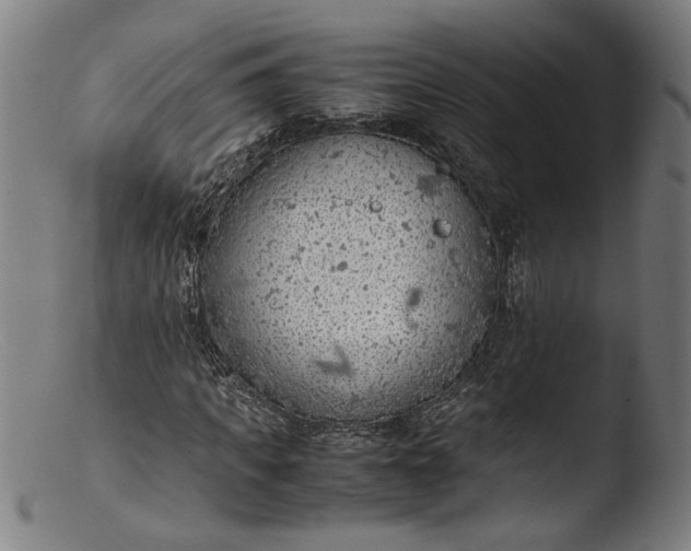 X0000103410917200809261640