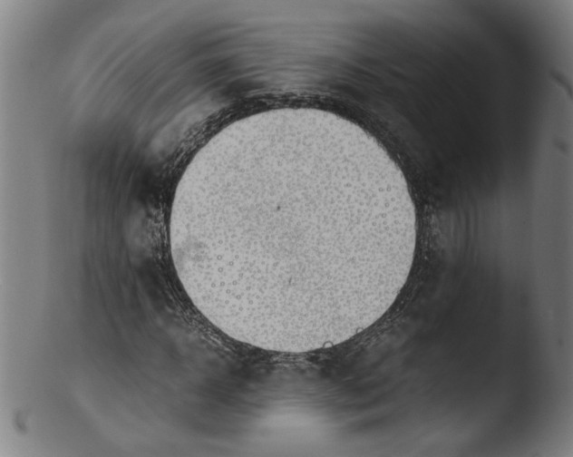 X0000103410918200809261640