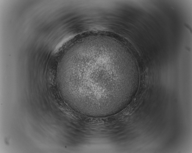 X0000103410919200809261640