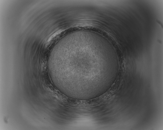 X0000103410920200809261640