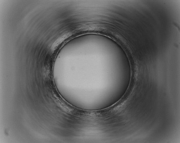 X0000103410922200809261640