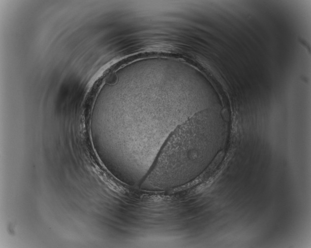 X0000103410923200809261640