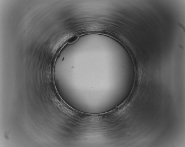 X0000103410930200809261640