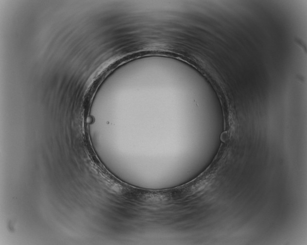 X0000103410931200809261640