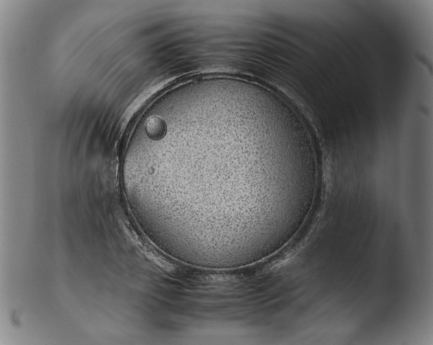 X0000103410933200809261640