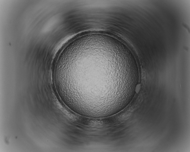 X0000103410935200809261640