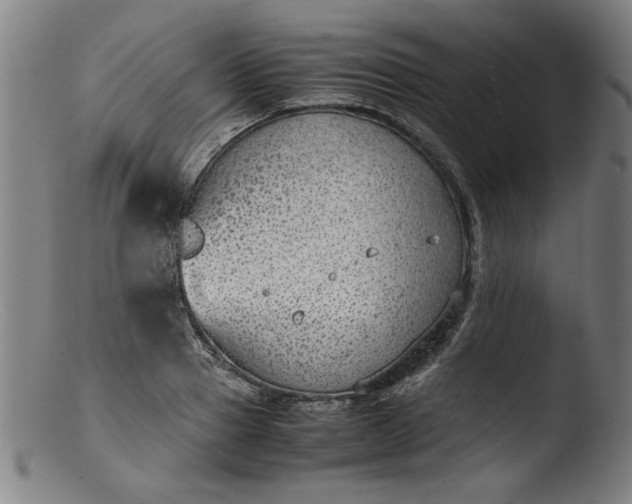 X0000103410937200809261640