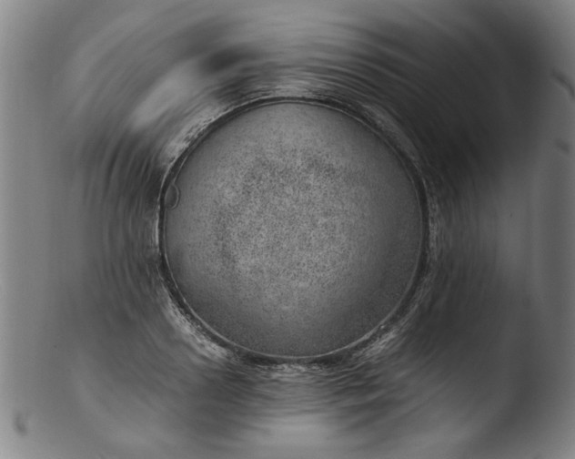 X0000103410938200809261640