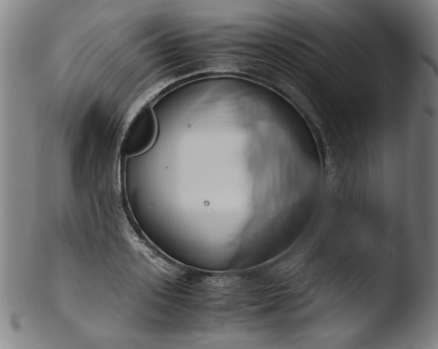 X0000103410939200809261640