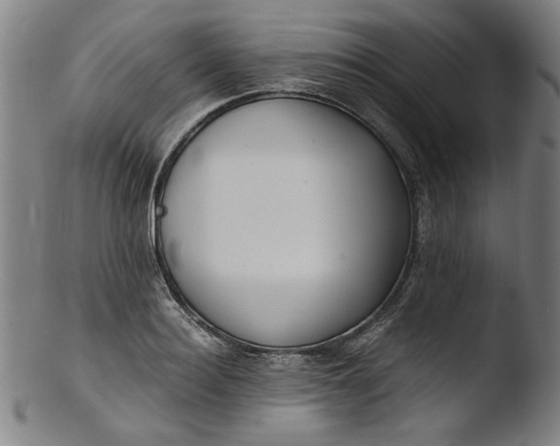 X0000103410940200809261640