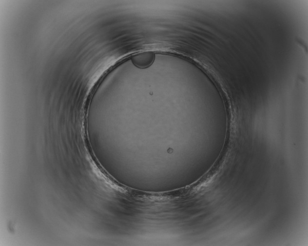 X0000103410941200809261640