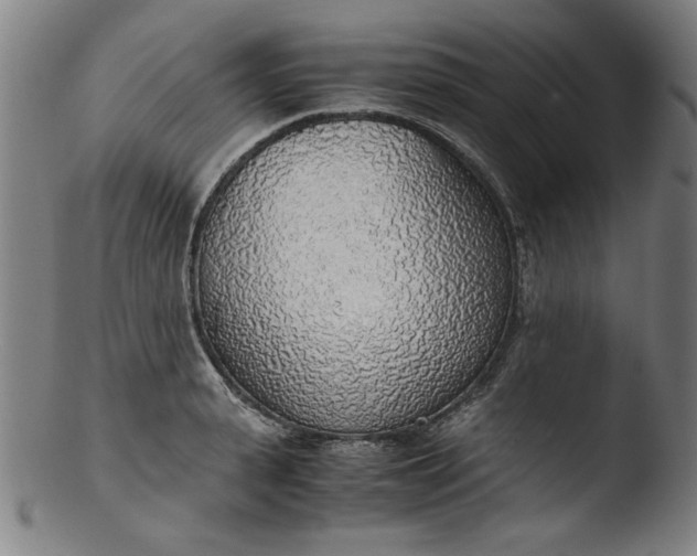 X0000103410943200809261640