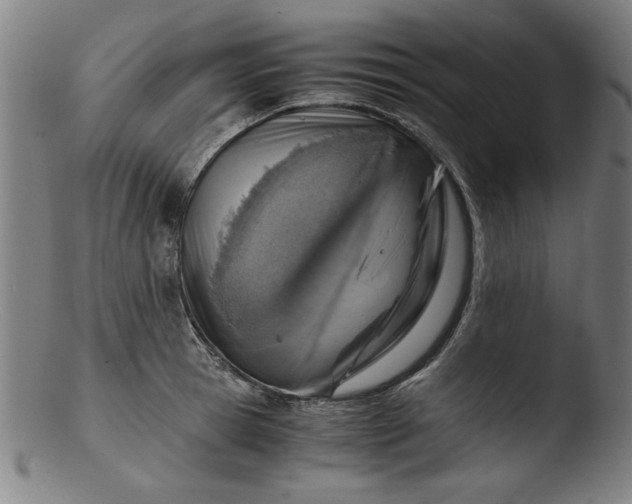 X0000103410945200809261640