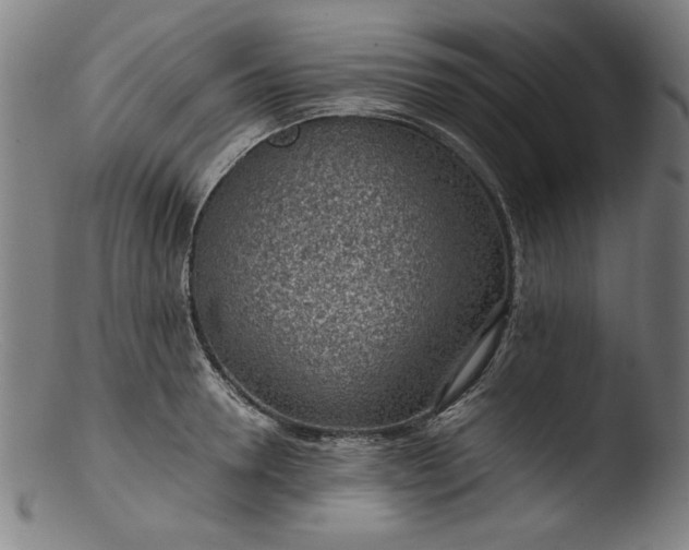 X0000103410946200809261640