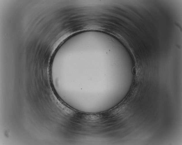 X0000103410947200809261640