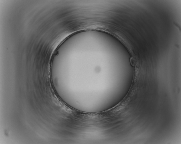 X0000103410948200809261640