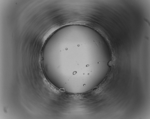 X0000103410952200809261640