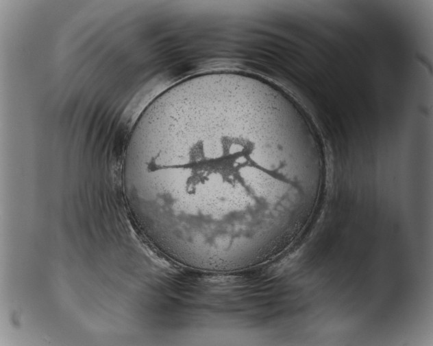 X0000103410953200809261640