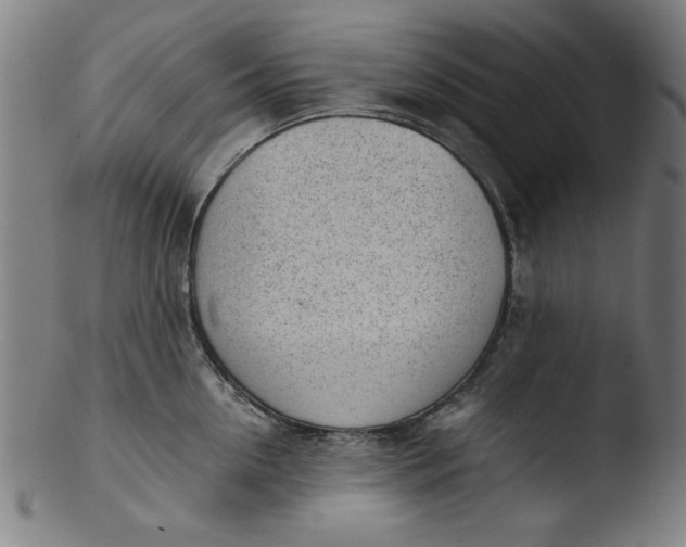 X0000103410954200809261640