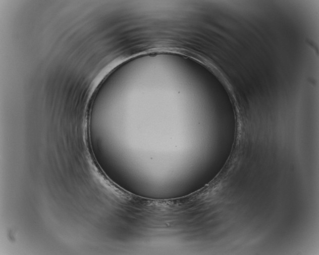 X0000103410955200809261640