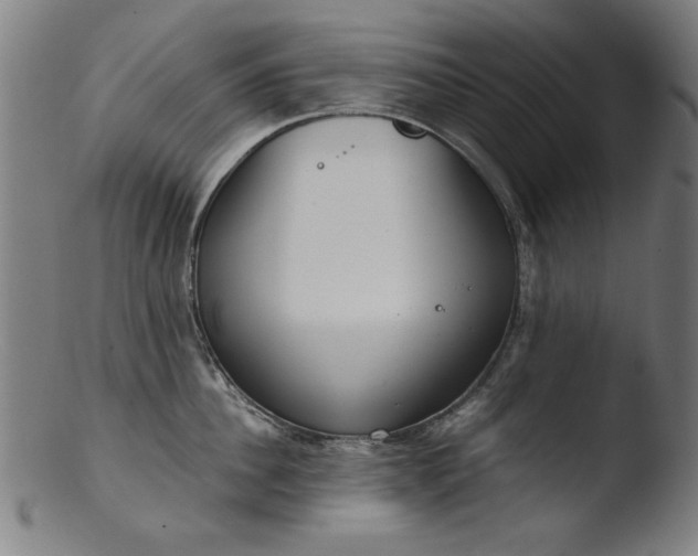 X0000103410956200809261640