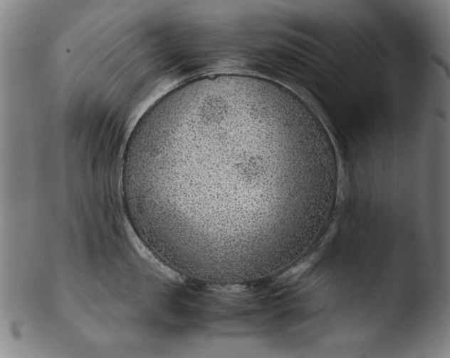 X0000103410957200809261640