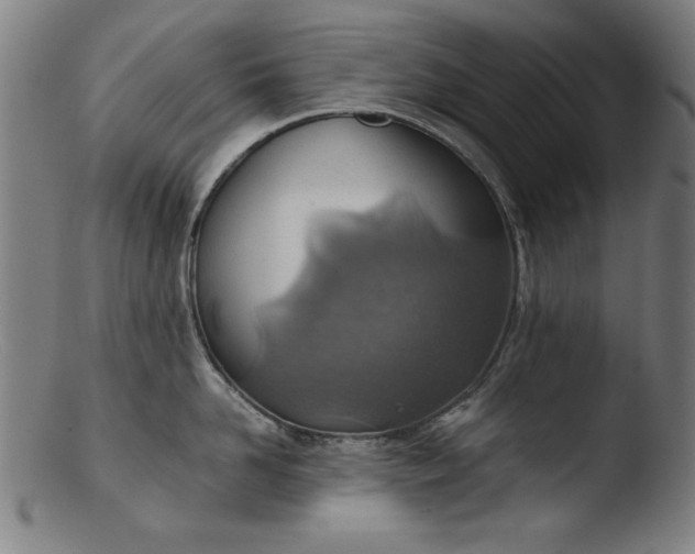 X0000103410958200809261640