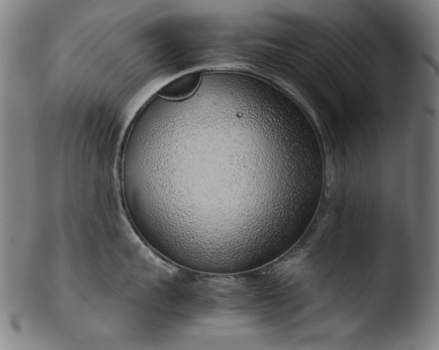 X0000103410959200809261640