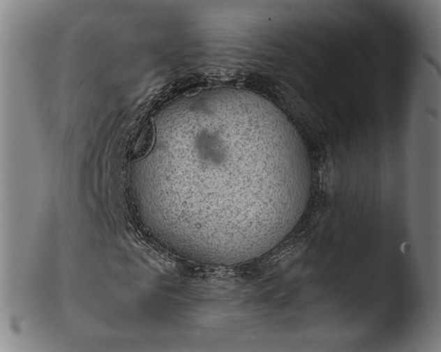 X0000103410961200809261640