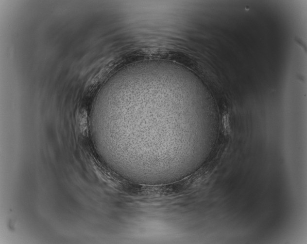 X0000103410963200809261640