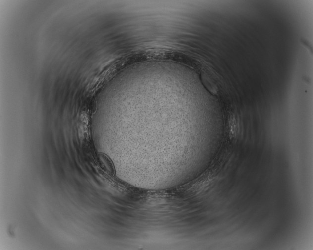 X0000103410964200809261640