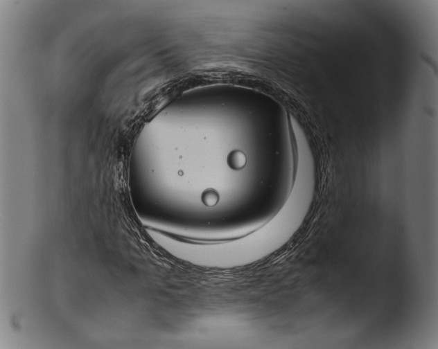 X0000103410965200809261640