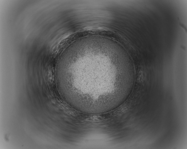 X0000103410966200809261640