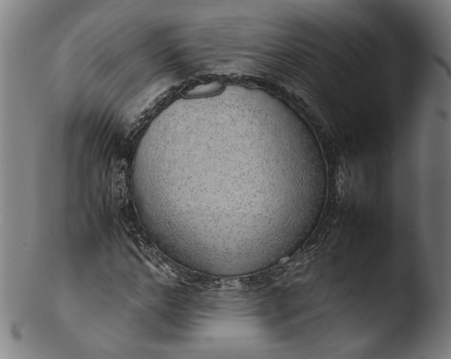 X0000103410968200809261640