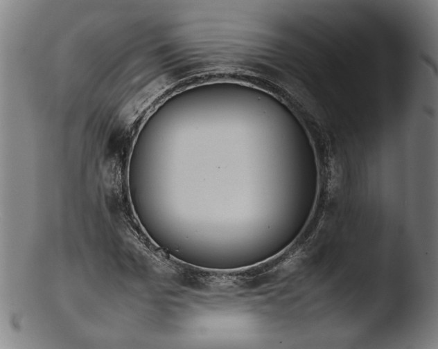 X0000103410969200809261640