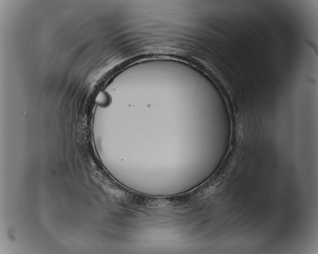 X0000103410971200809261640