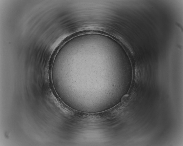 X0000103410972200809261639