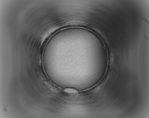 X0000103410973200809261639