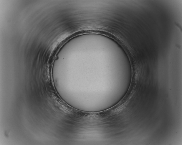 X0000103410974200809261639