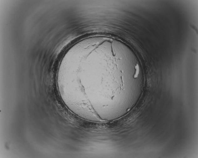 X0000103410975200809261639