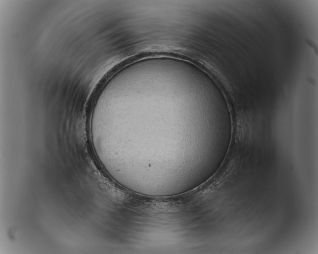 X0000103410976200809261639