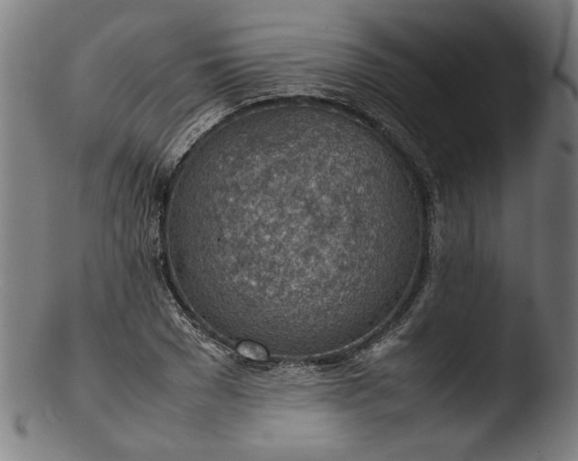 X0000103410977200809261639