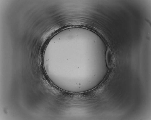 X0000103410979200809261639