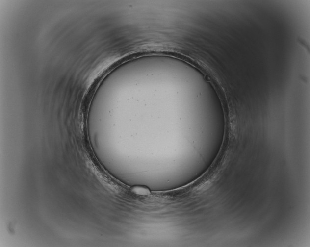 X0000103410981200809261639