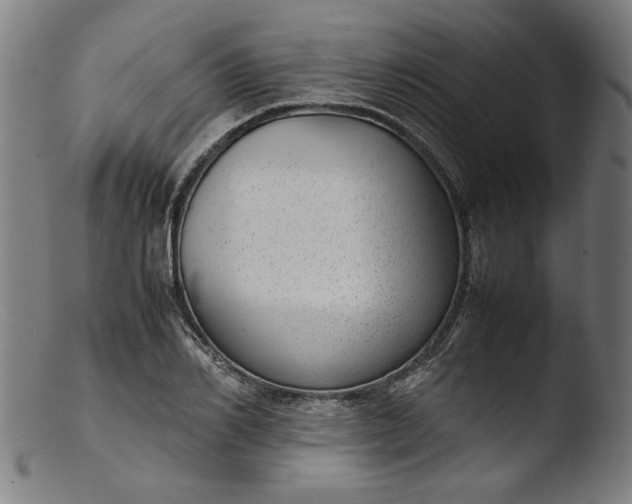 X0000103410982200809261639