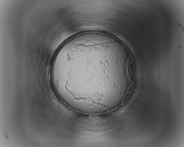 X0000103410983200809261639