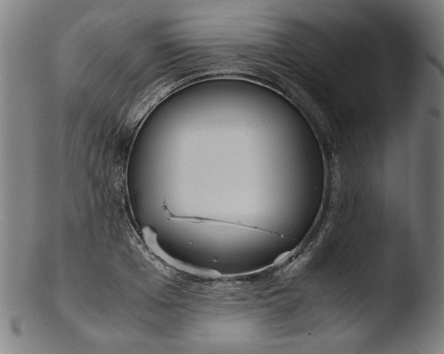 X0000103410985200809261639